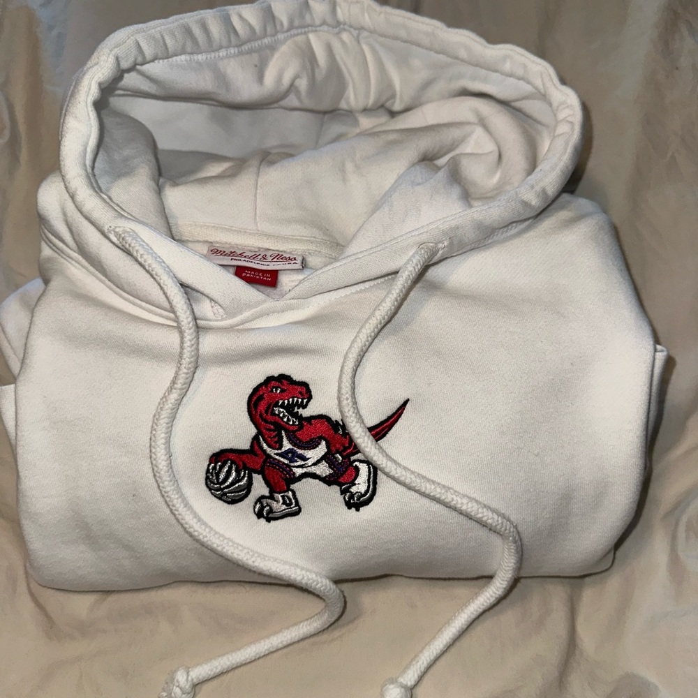 Toronto Raptors Hoodie